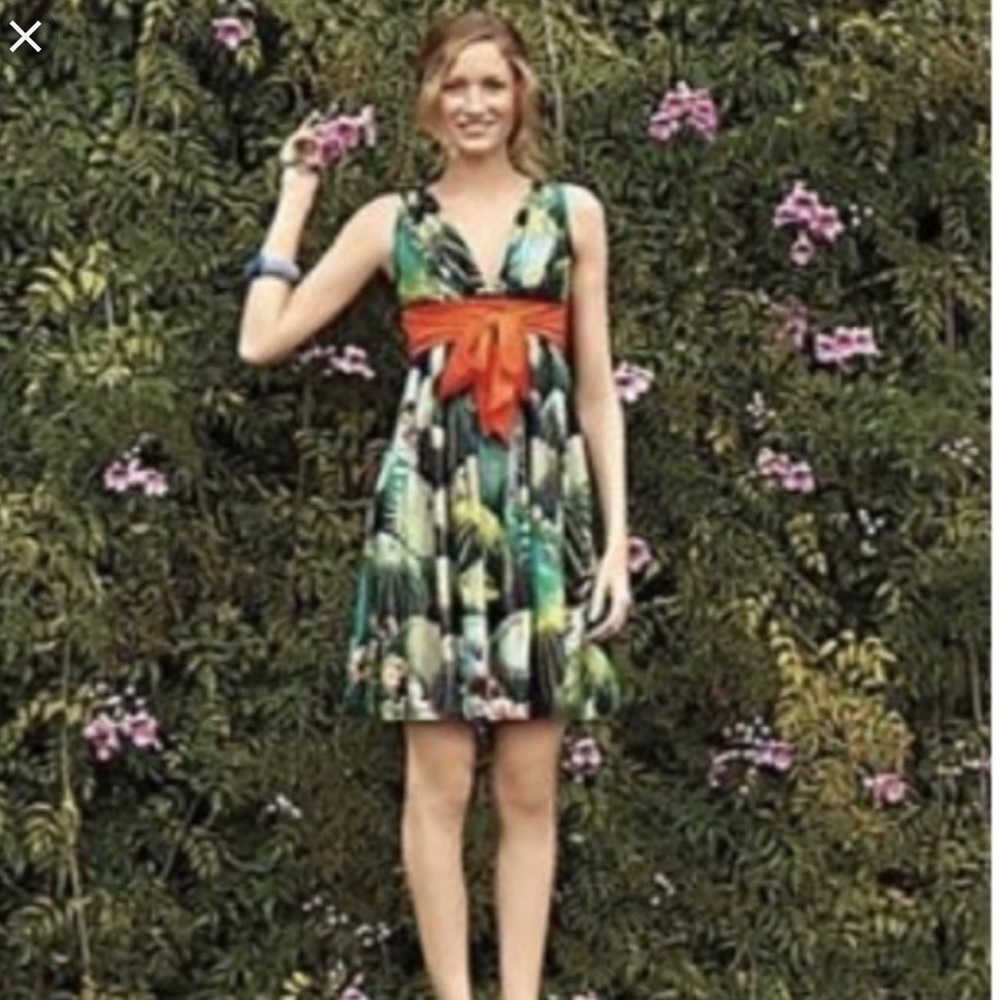 Anthropologie GUC 10 Eva Franco Oroya Dress